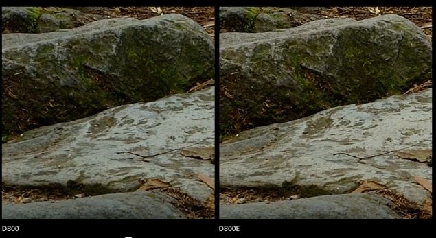 The Difference between Nikon D800 and D800E