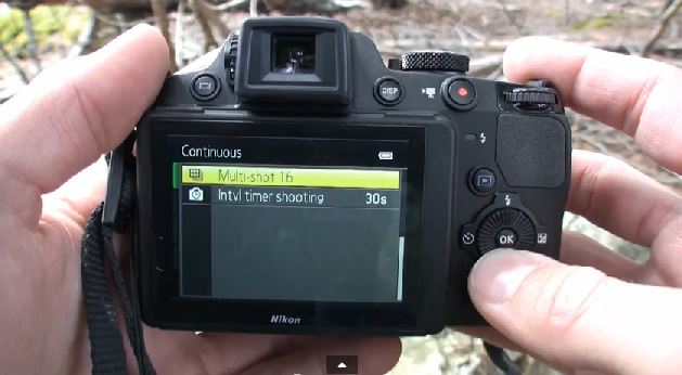 Nikon Coolpix P510 Review – Giant Zoom!